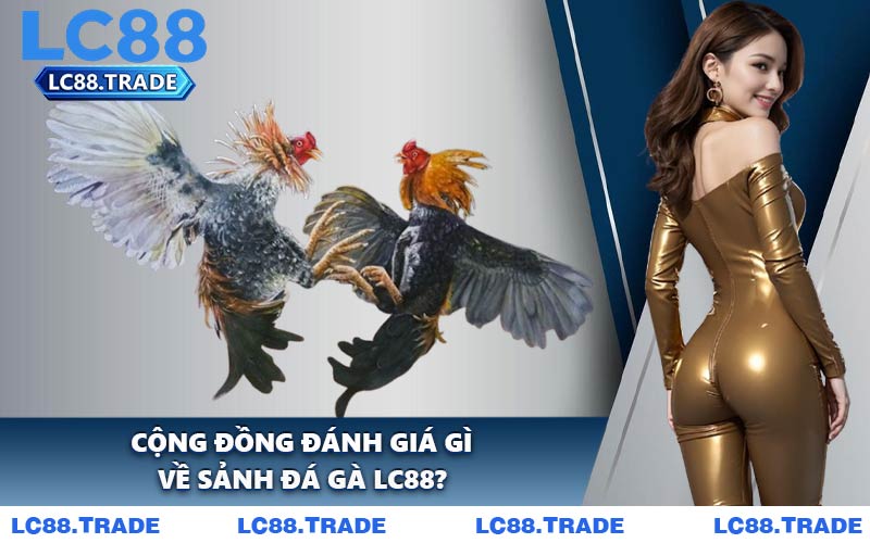 Cộng Đồng Đánh Giá Gì Về Sảnh Đá Gà LC88?