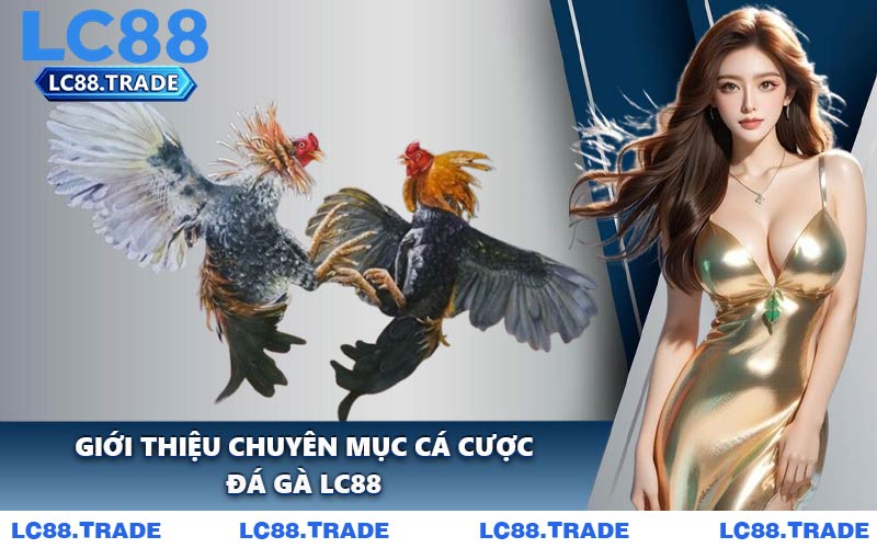 Giới Thiệu Chuyên Mục Cá Cược Đá Gà LC88
