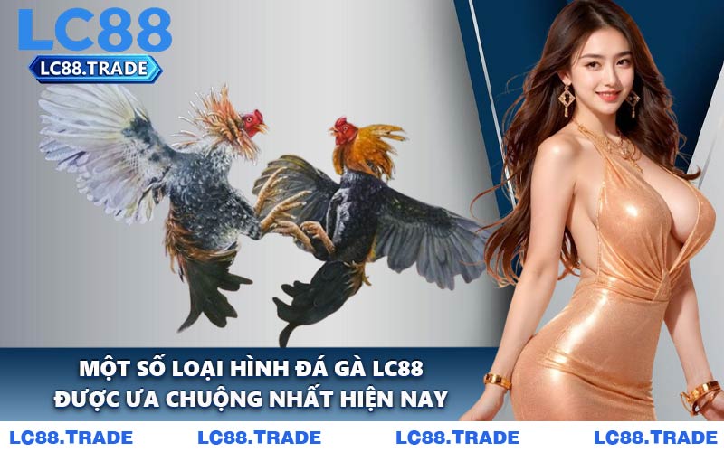 Một Số Loại Hình Đá Gà LC88 Được Ưa Chuộng Nhất Hiện Nay