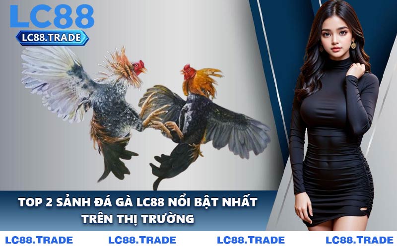 Top 2 Sảnh Đá Gà LC88 Nổi Bật Nhất Trên Thị Trường